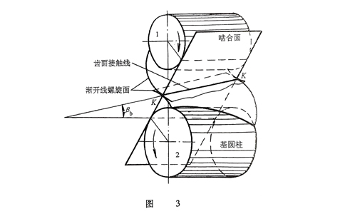 圆柱齿轮啮合.jpg