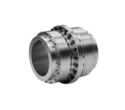 R+W  Gear Coupling BZ1