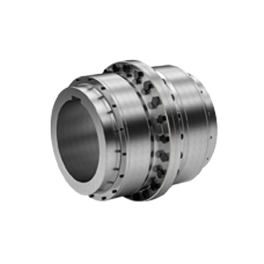 R+W  Gear Coupling BZ1